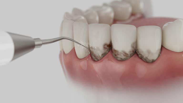 Reliable Dental contractor in Crookston, MN by Dentist Open Now